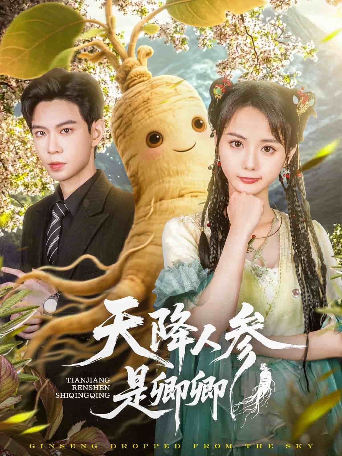 天降人参是卿卿 海报