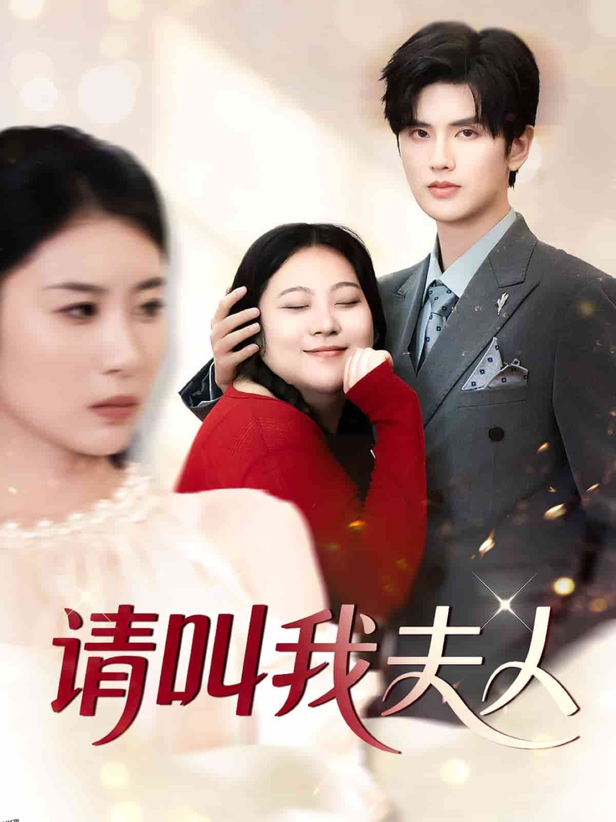 请叫我夫人 海报