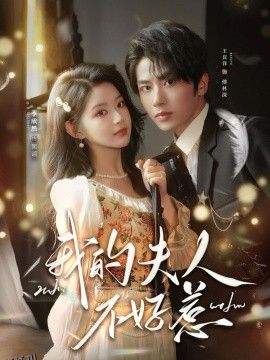 我的夫人不好惹 海报