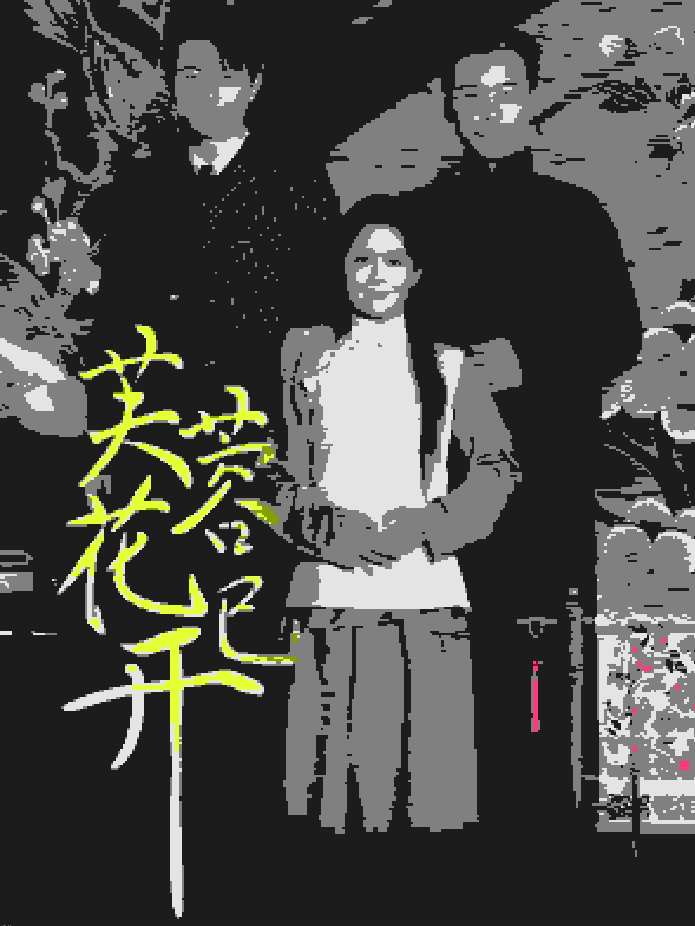 芙蓉花已开 海报