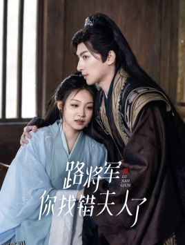 路将军，你找错夫人了 海报