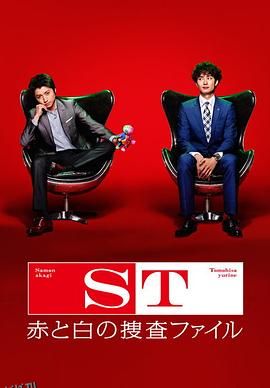 ST 红白搜查档案 海报