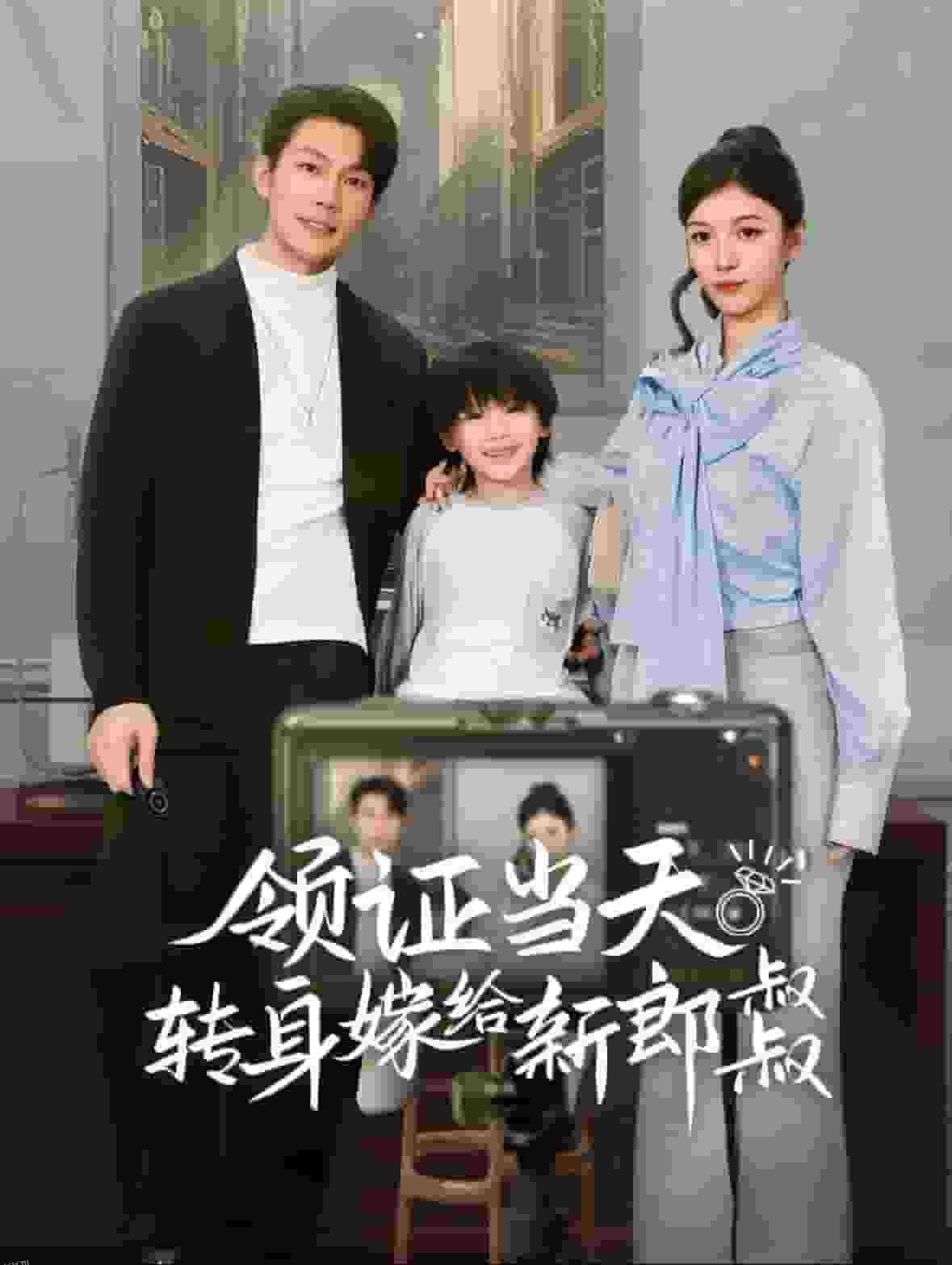 领证当天转身嫁给新娘叔叔 海报