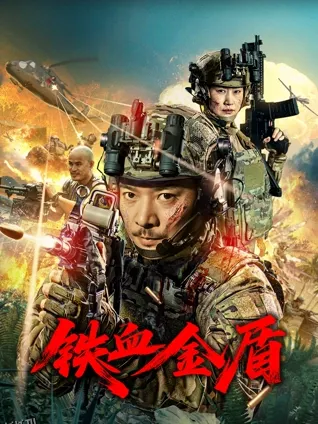 铁血金盾 海报