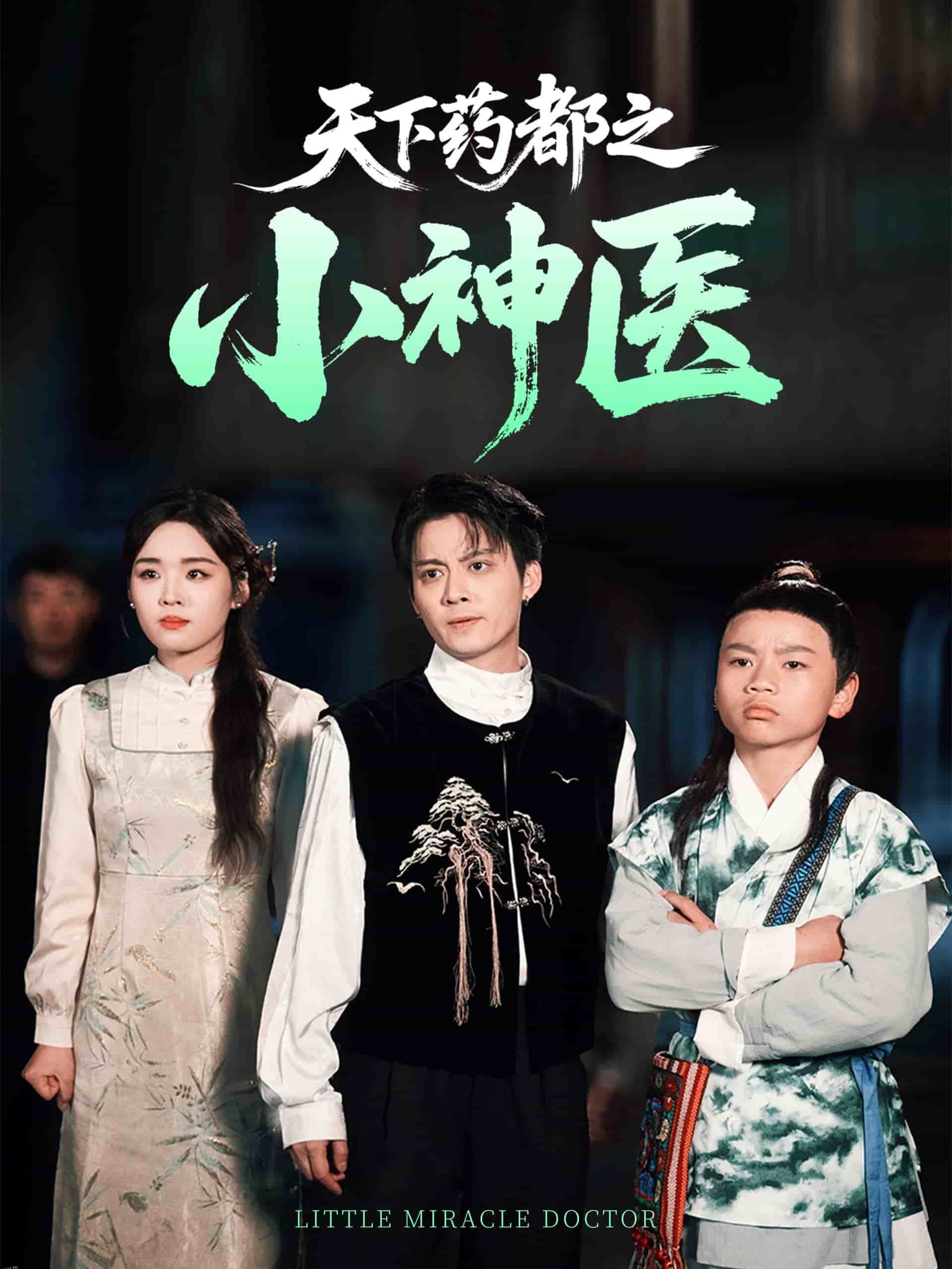 天下药都之小神医 海报