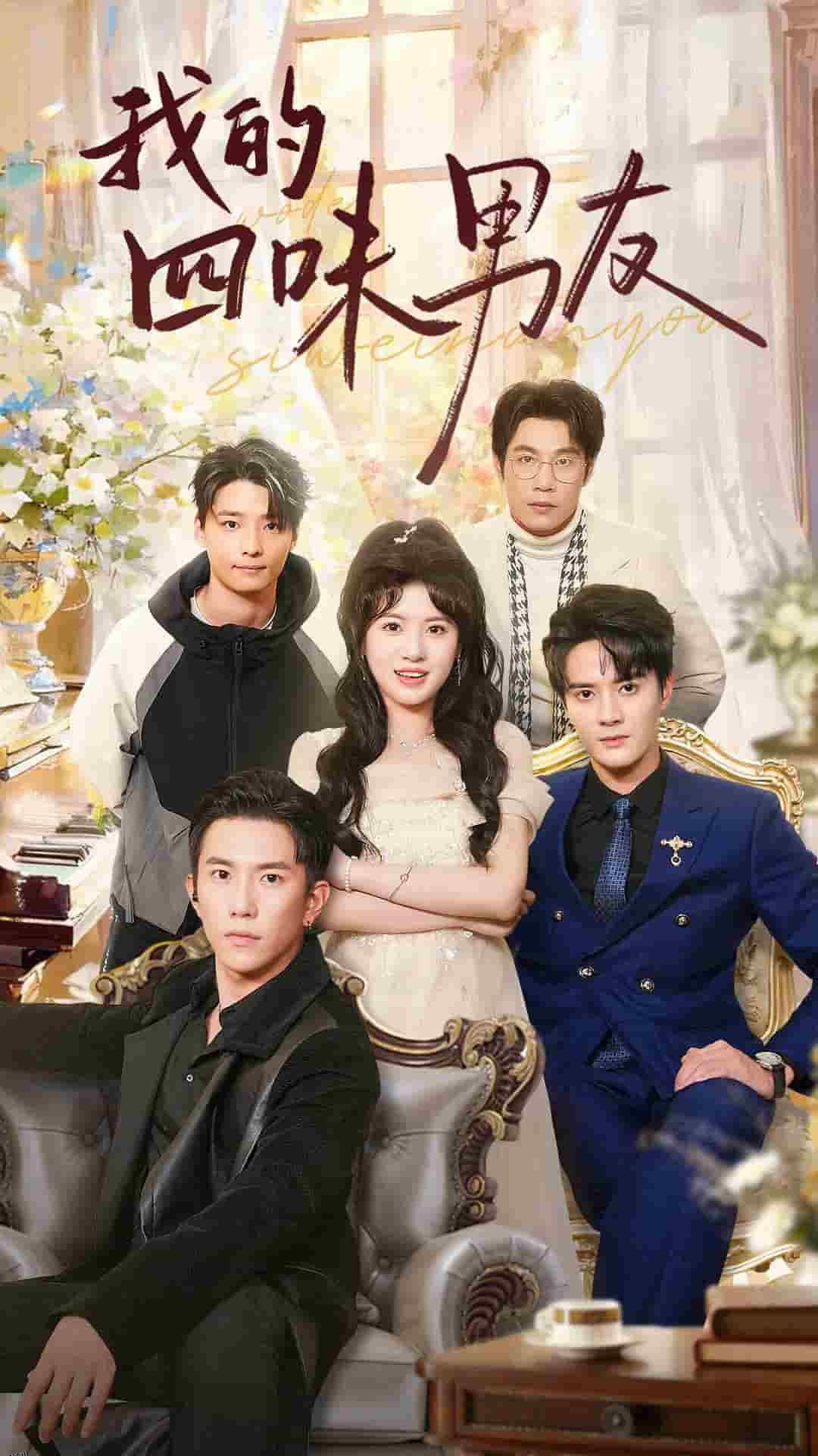 我的四味男友 高清海报