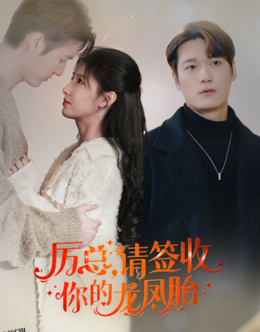 历总，请签收你的龙凤胎 海报