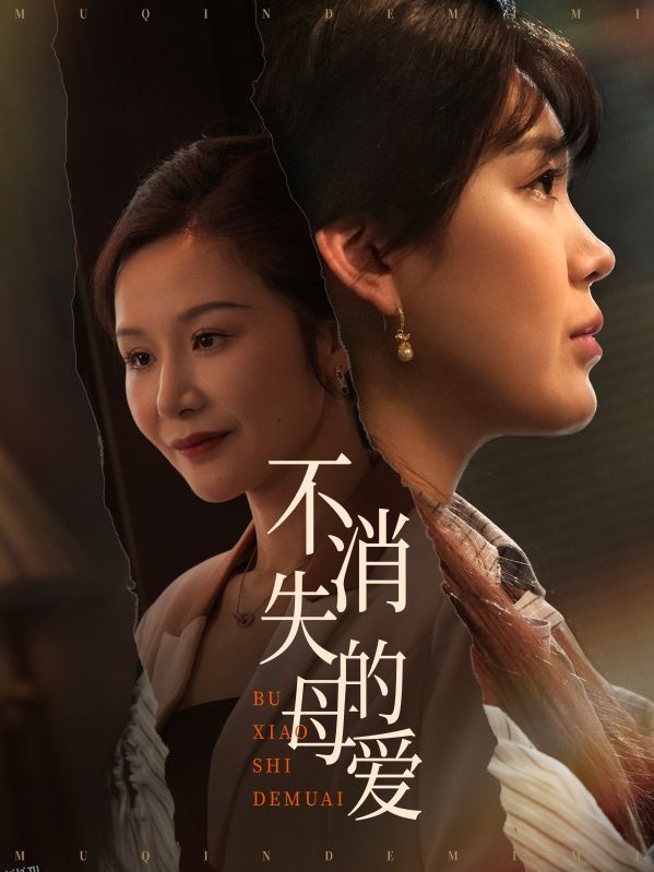 不消失的母爱 海报