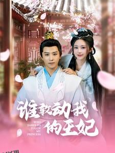 谁敢动我的王妃 海报