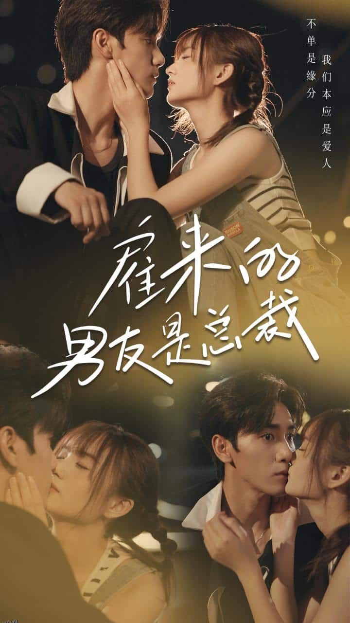 雇来的男友是总裁 海报