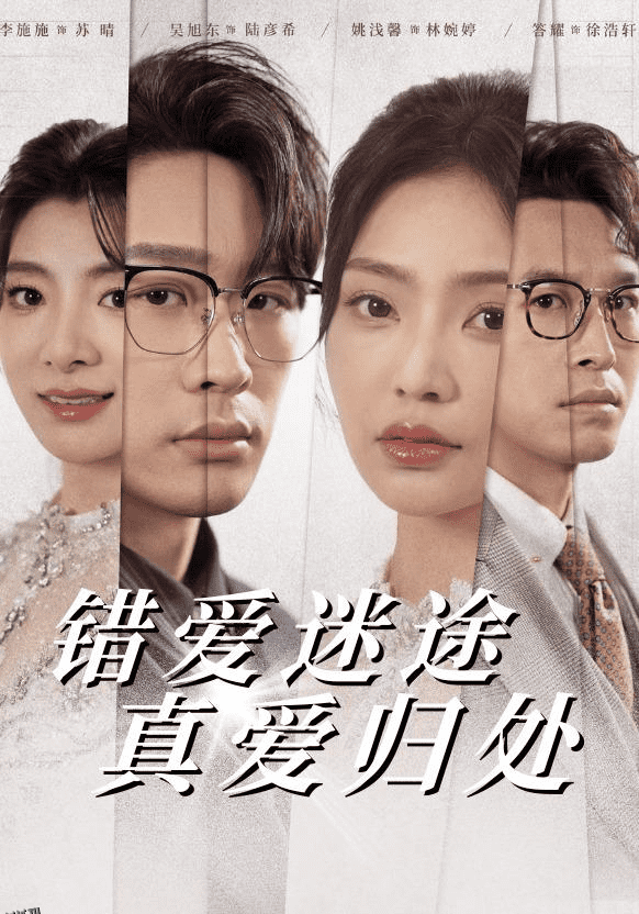 错爱迷途真爱归处 海报