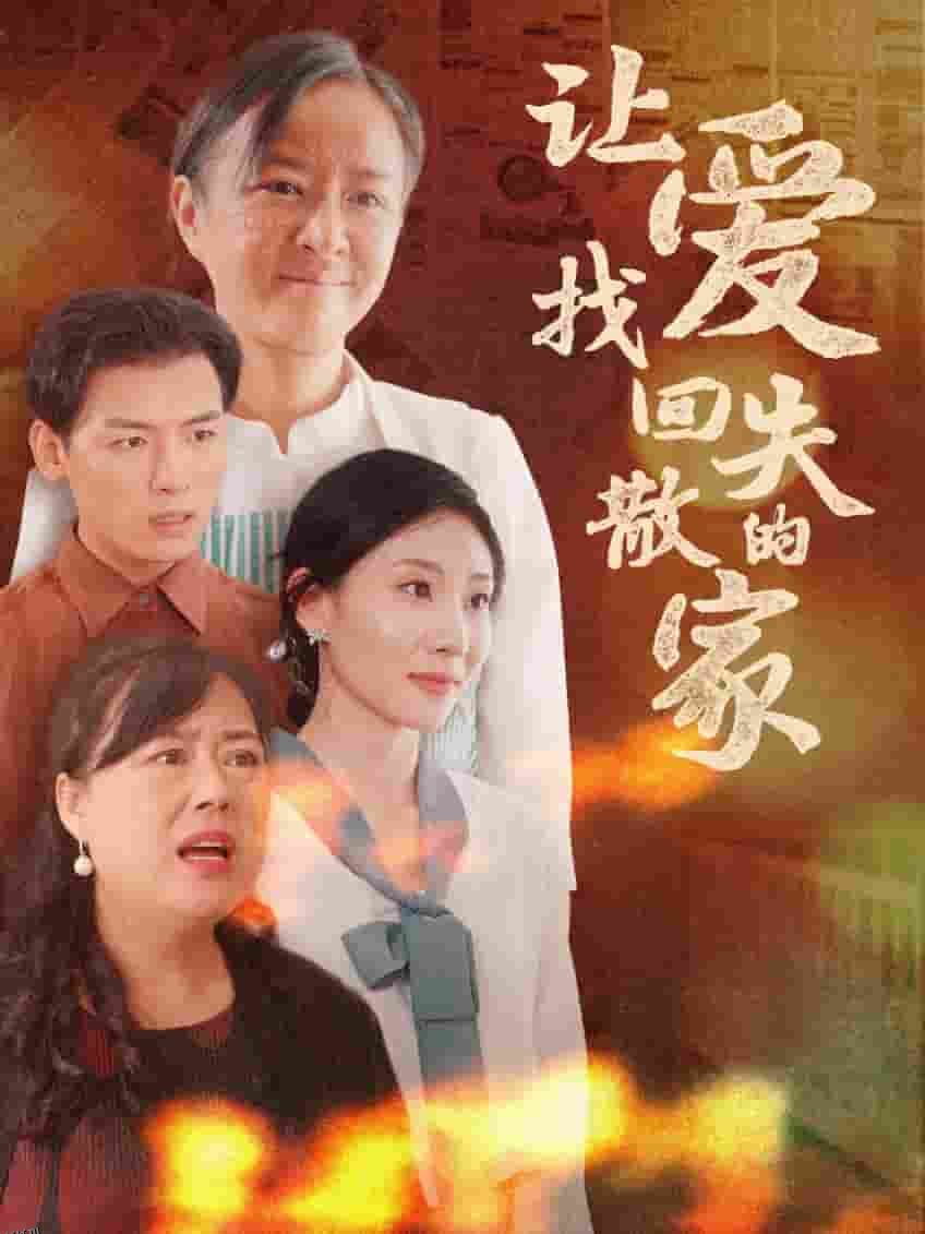 让爱找回失散的家 海报