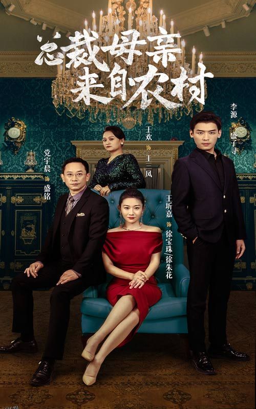 总裁母亲来自农村 海报