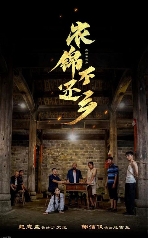 衣锦不还乡 海报