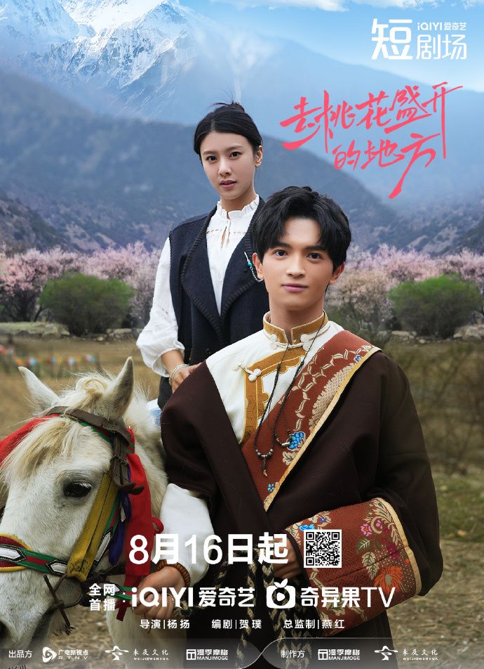 去桃花盛开的地方 海报
