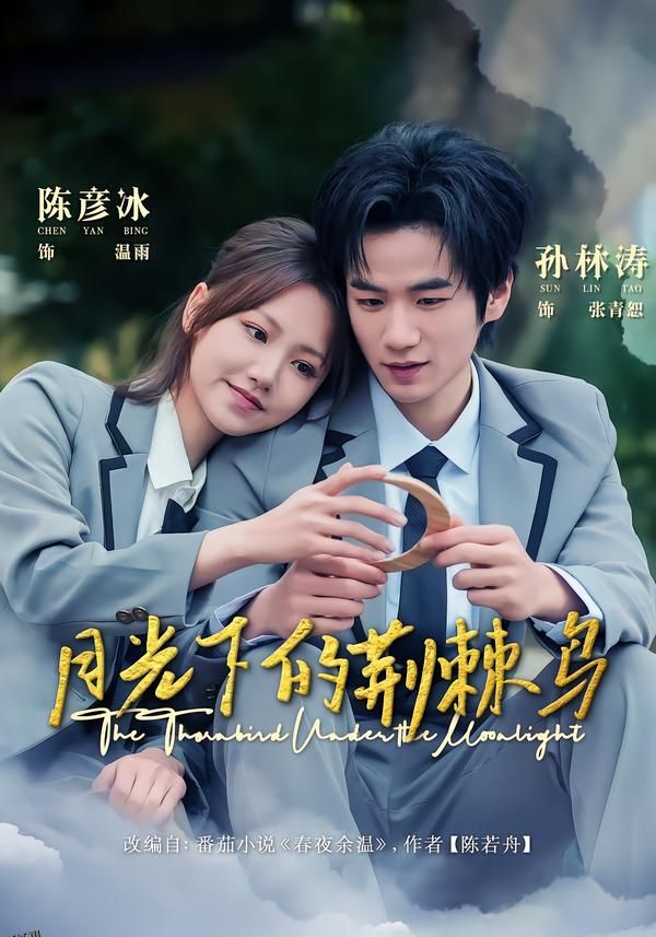 月光下的荆棘鸟 海报