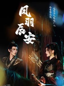凤羽辰安 海报