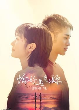 恰好遇见你2021 海报