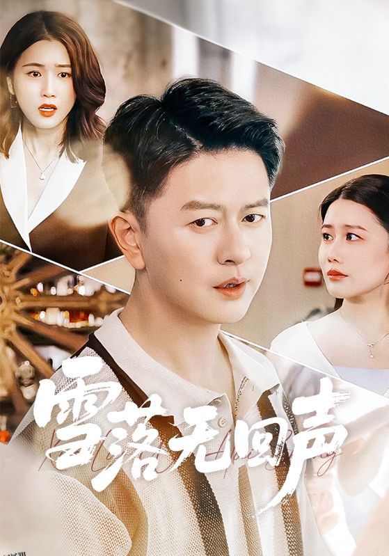 雪落无回声 海报