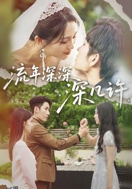 流年深深深几许 海报