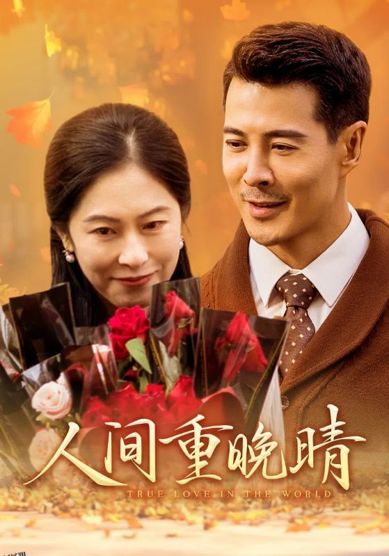 人间重晚情 海报