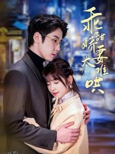 乖甜娇妻太难哄 海报