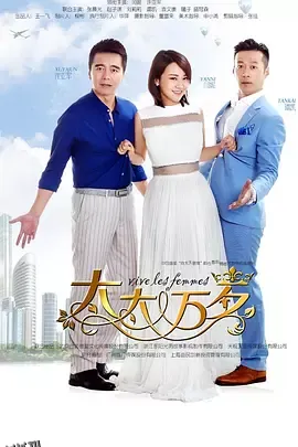 太太万岁2016 海报