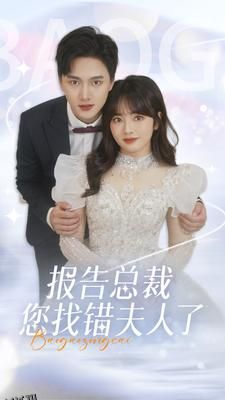 报告总裁您找错夫人了 海报