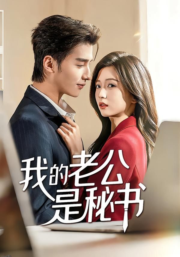 我的老公是秘书 海报