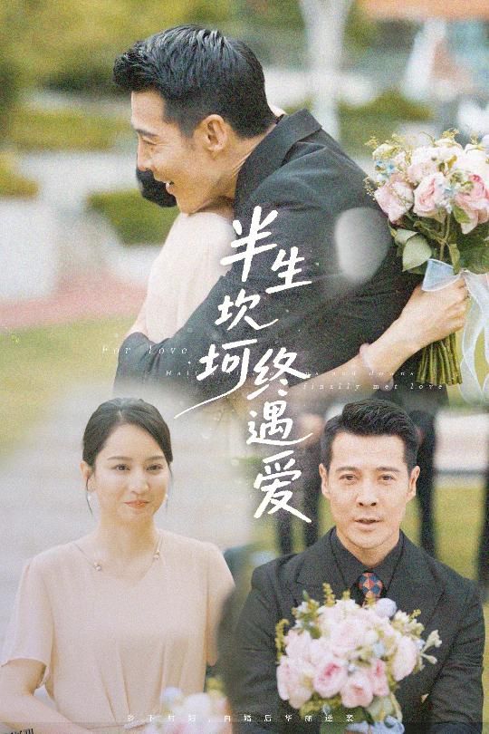 半生坎坷终遇爱 海报