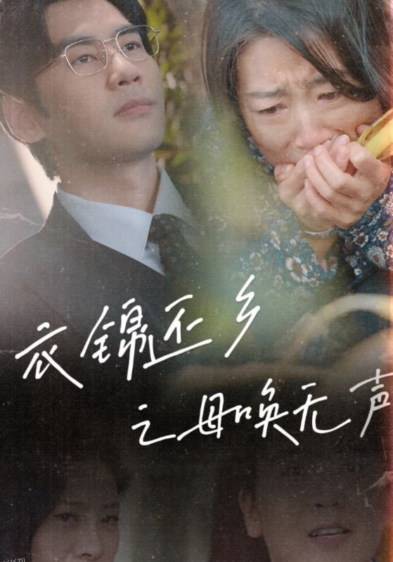 衣锦还乡之母唤无声 海报