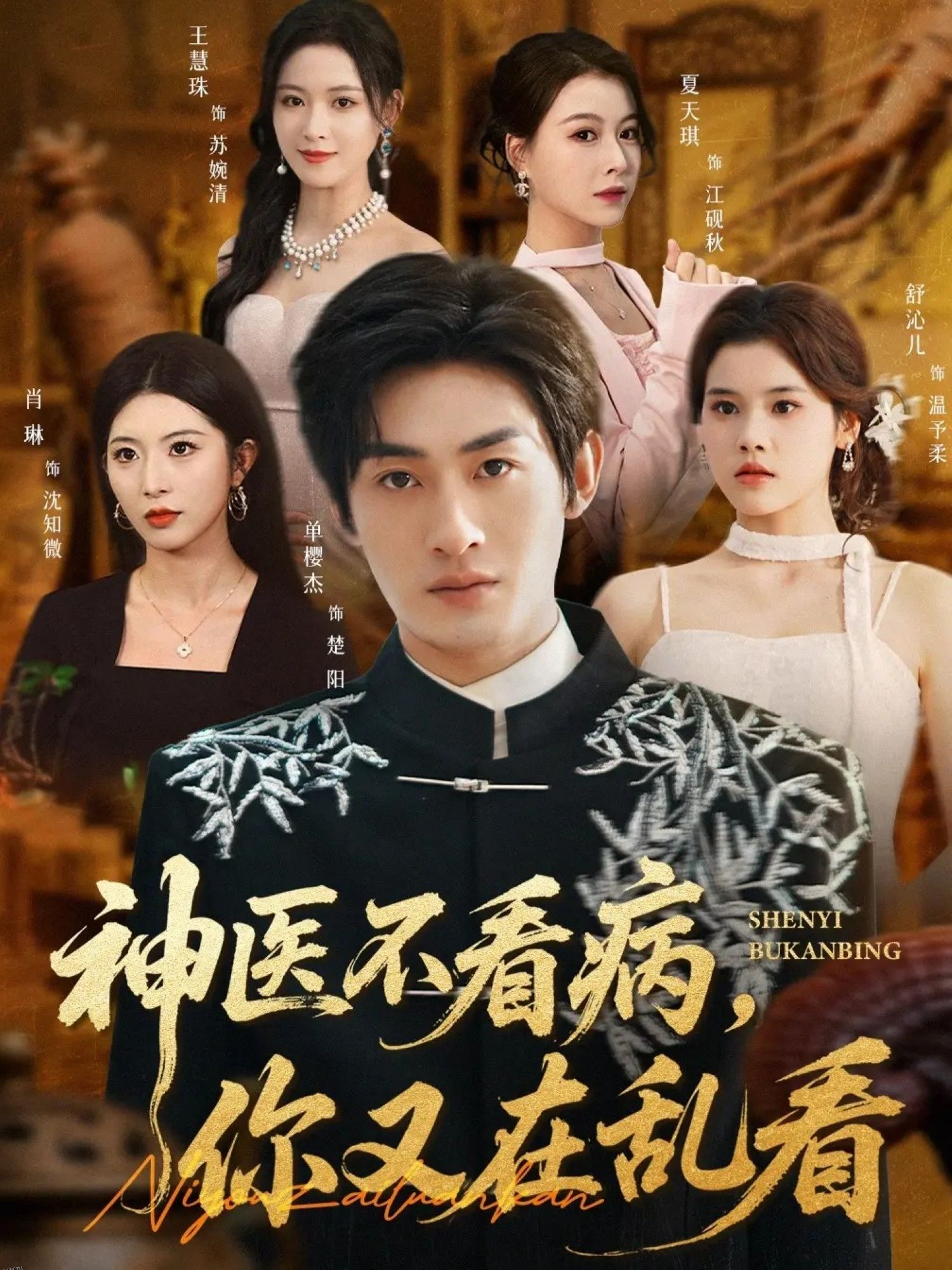 神医不看病，你又在乱看 海报