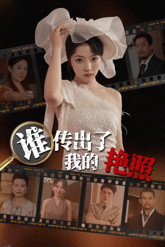 谁传出了我的Y照 海报