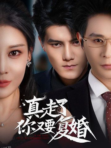 真走了你又要复婚 海报