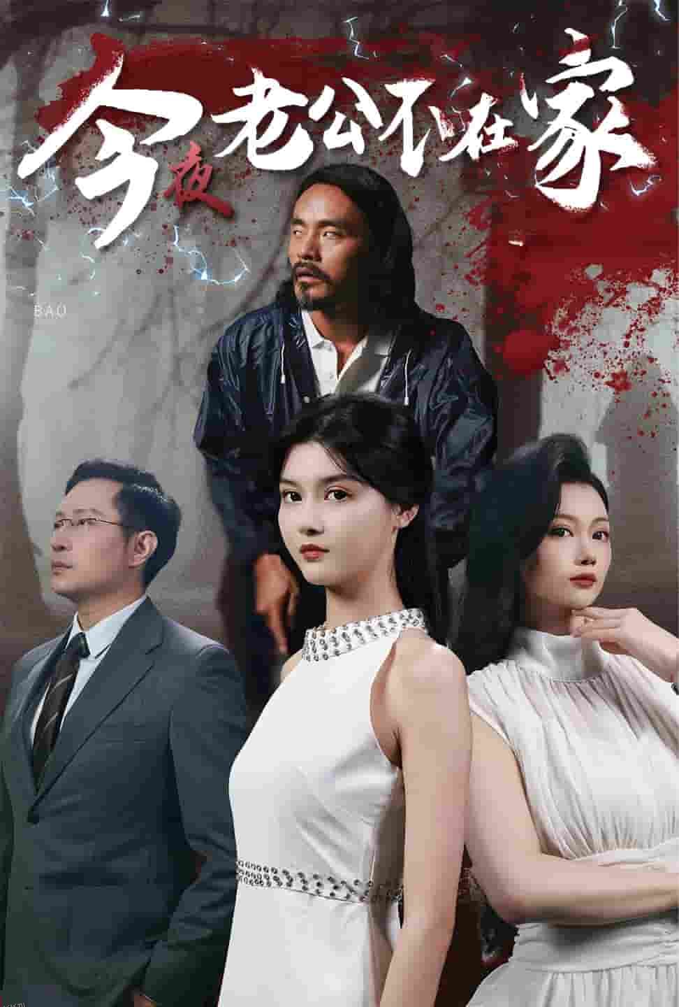 今夜老公不在家 海报