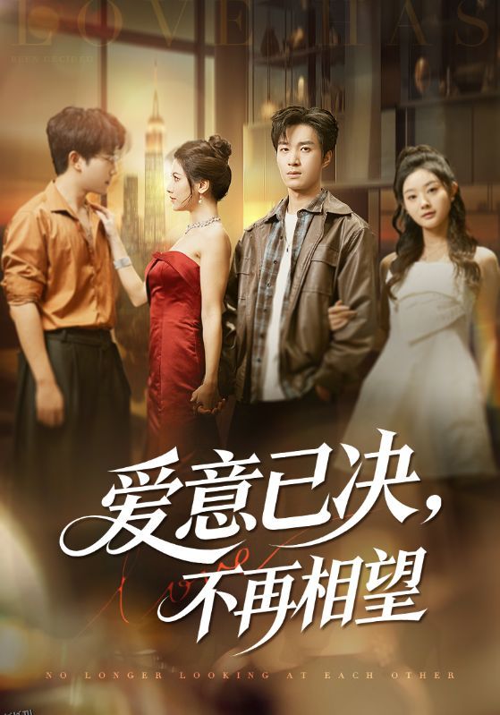 爱意已决不再相望 海报