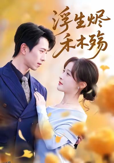 浮生烬禾木殇 海报