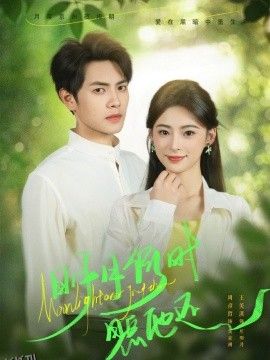 明月何时照他还 海报