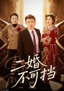 二婚不可挡 海报