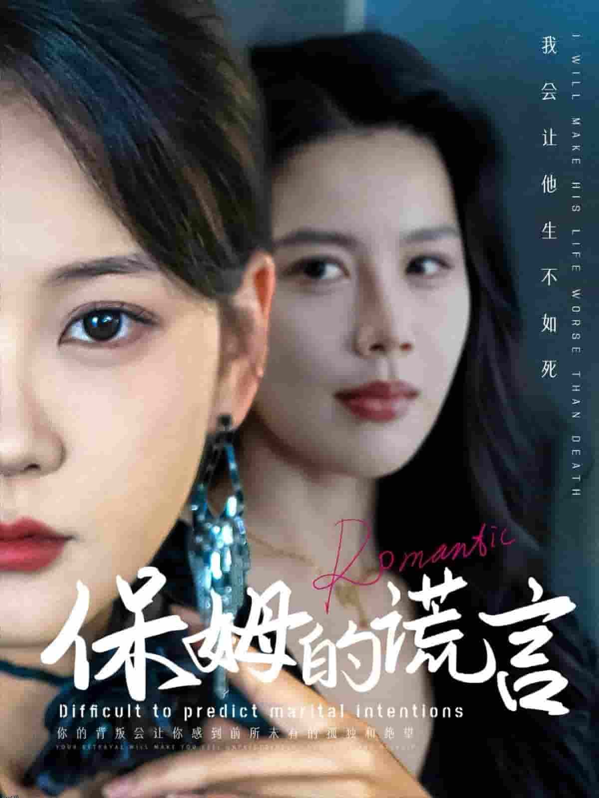 保姆的谎言 海报