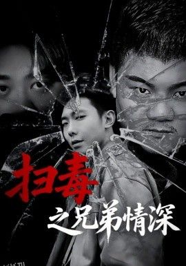 扫毒之兄弟情深 海报