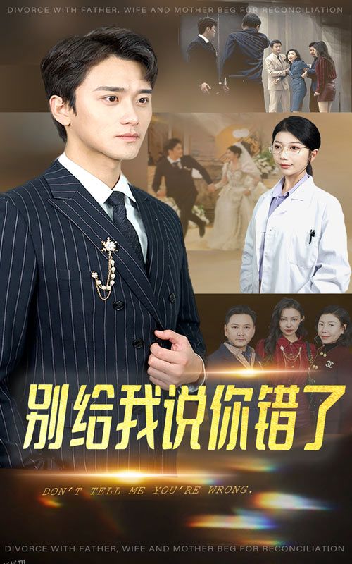 别给我说你错了 高清海报