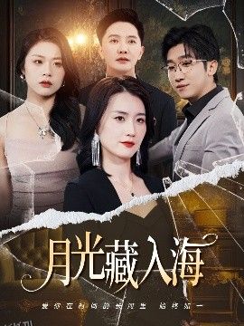 月光藏入海 海报