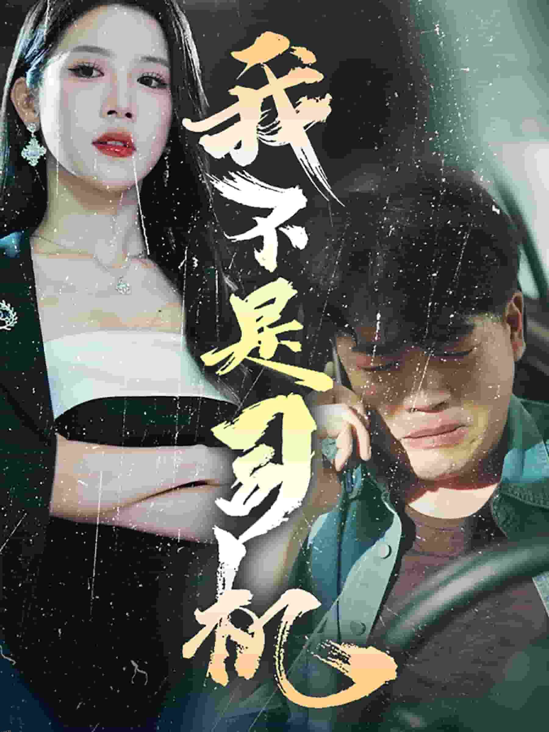 我不是司机 海报