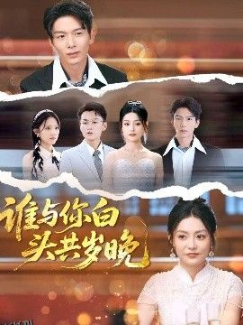 谁与你白头共岁晚 海报