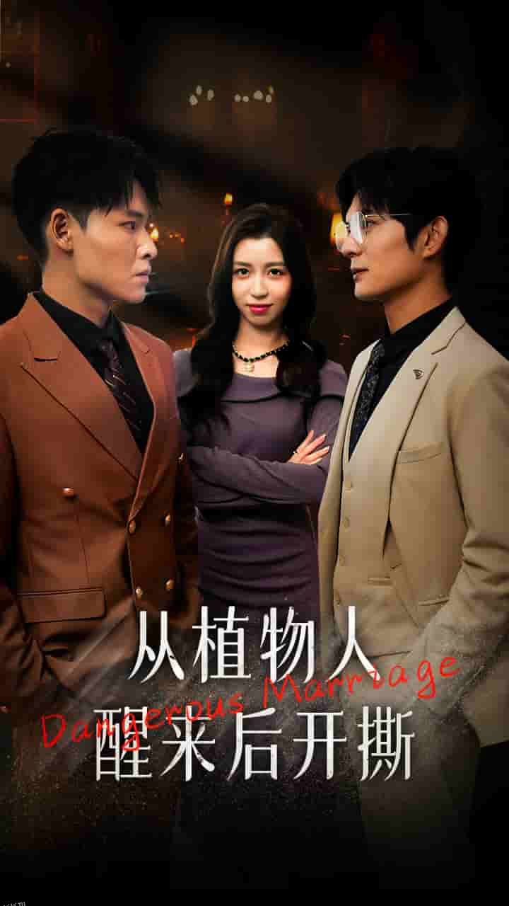 从植物人醒来后开撕 海报