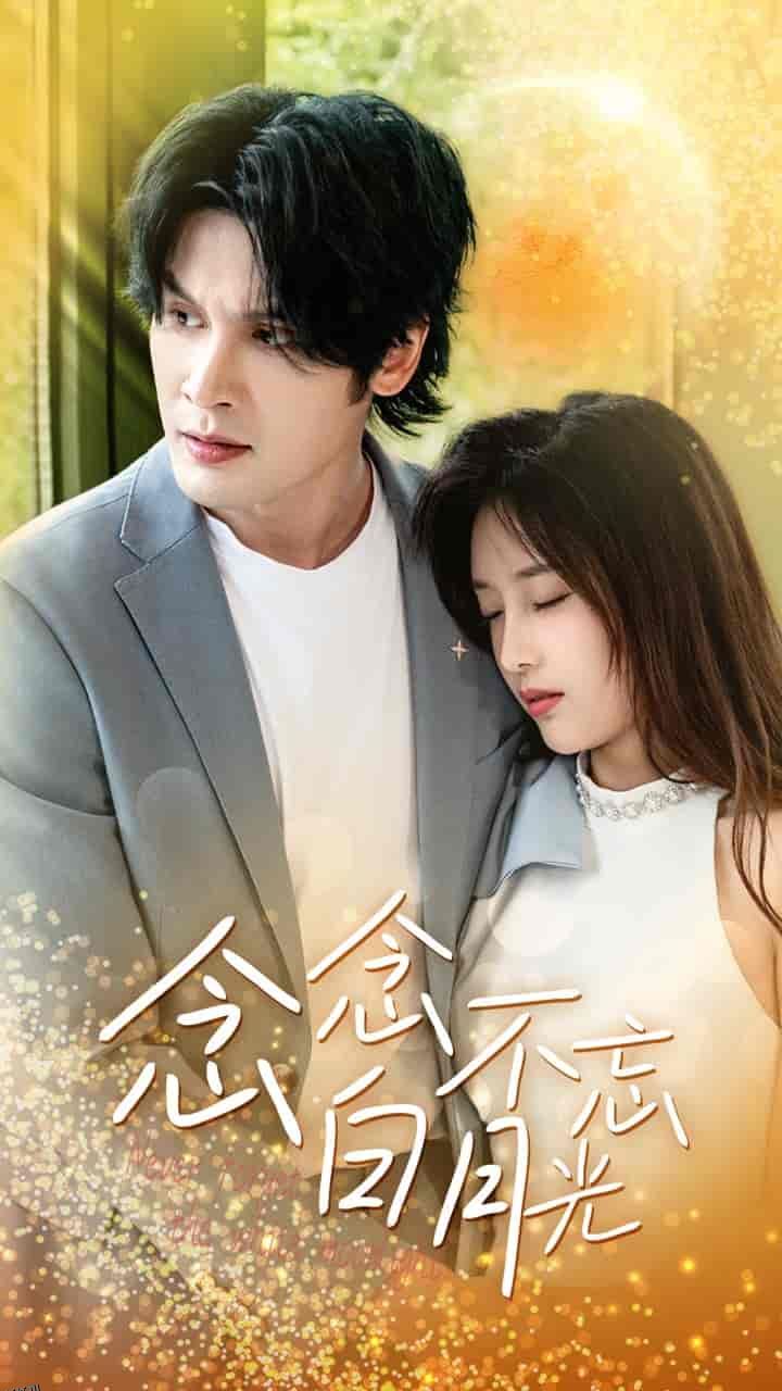 念念不忘白月光 海报