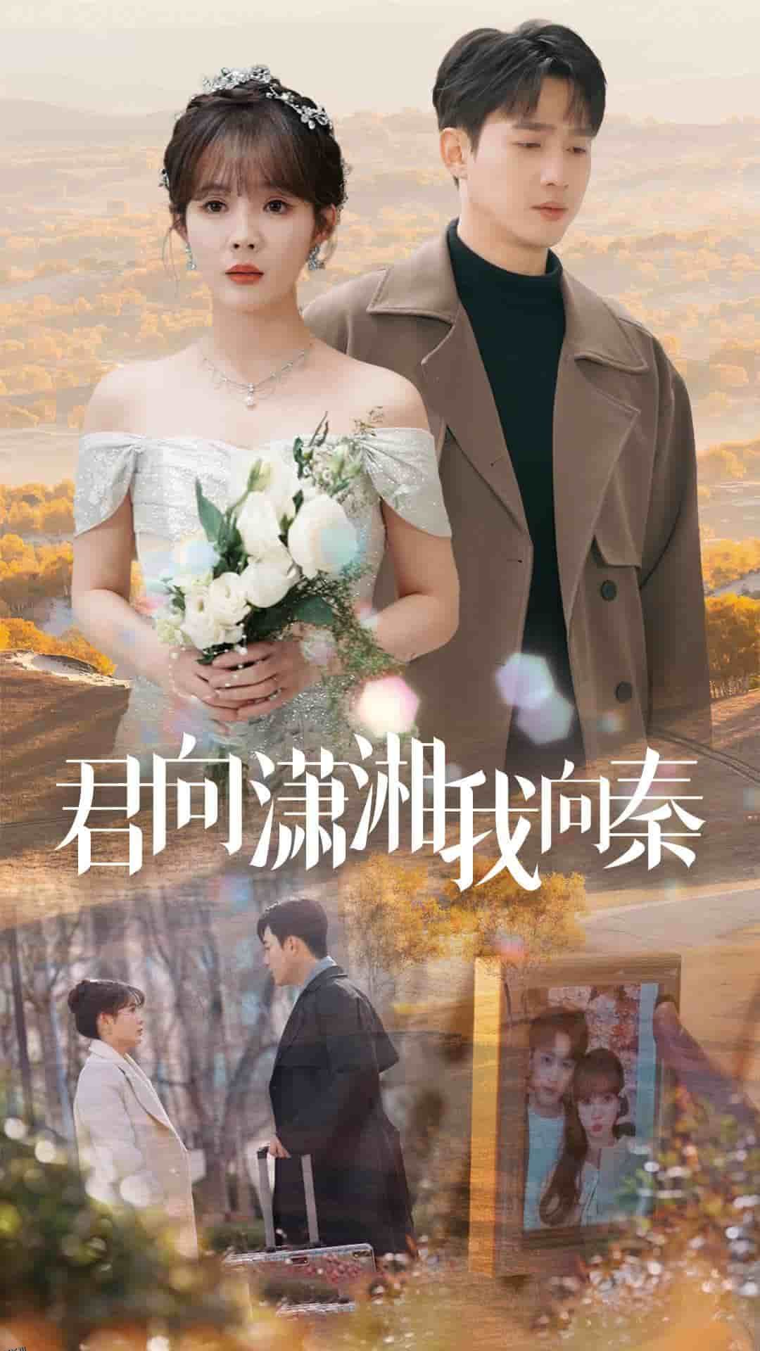 君向潇湘我向秦 高清海报