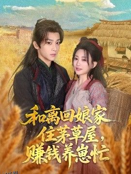 和离回娘家住茅草屋，赚钱养崽忙 海报