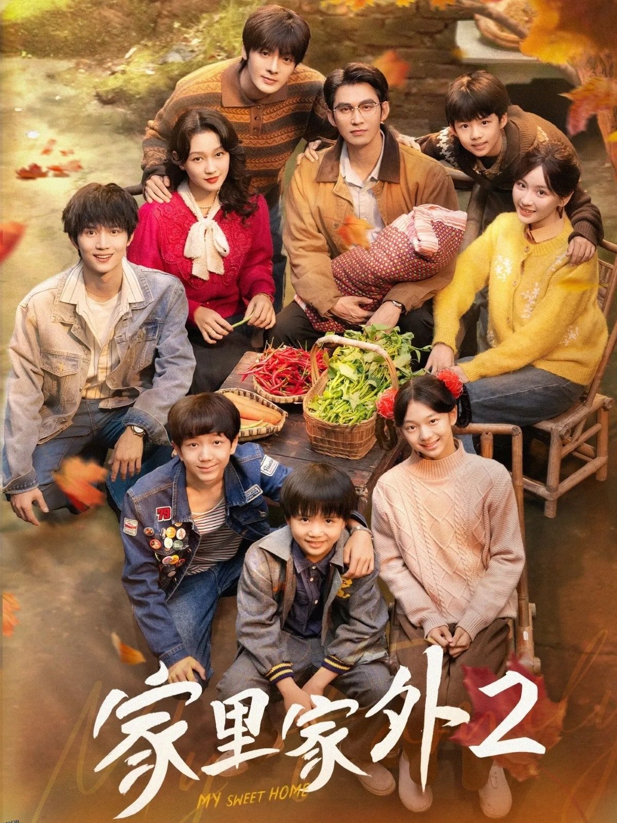 家里家外2 海报